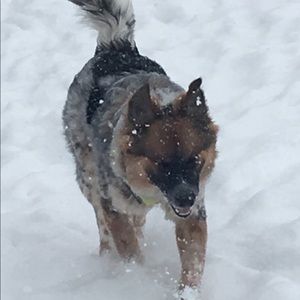 Meet your Posher, Julie